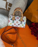 LV MINI SPEEDY